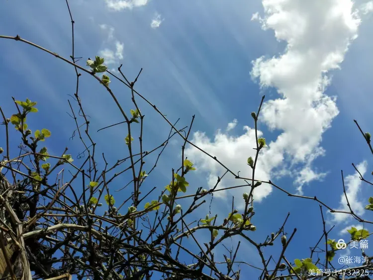 朴实无华的四句话